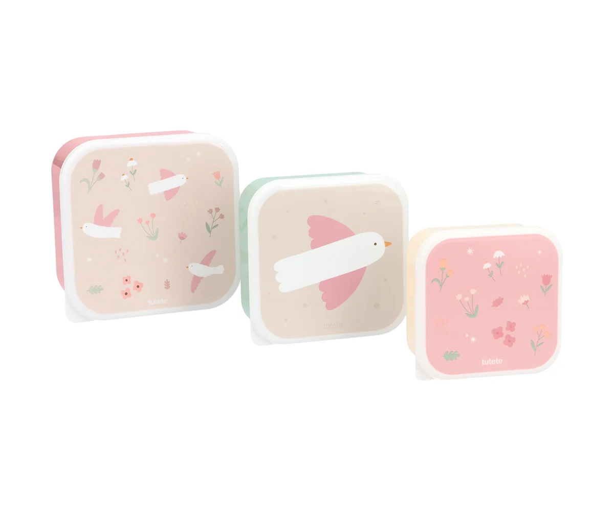 Pack 3 Caixas Lancheiras Tutete - Blossom Birds